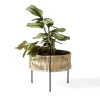 Umanoff Planters By Menu
