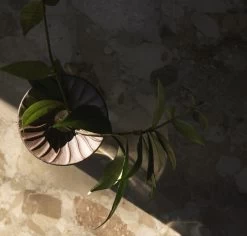 MENU Cresco Propagation Vase, 2 Pcs -Furniture Deals Store MENU Cresco Propagation Set 3