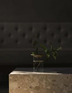 MENU Cresco Propagation Vase, 2 Pcs -Furniture Deals Store MENU Cresco Propagation Set Plinth Low