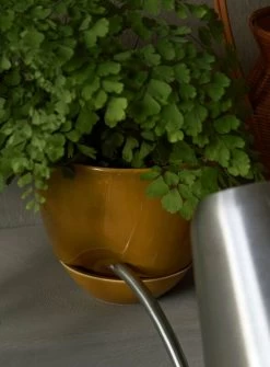 MENU Hydrous Planter, 12 Cm, Ochre -Furniture Deals Store MENU Hydrous Planter Hydrous Watering Can 5