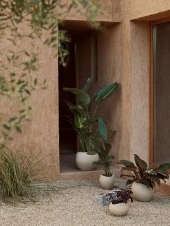 MENU Plantas Planter, 26 Cm, Ivory -Furniture Deals Store MENU LS Plantas Planters