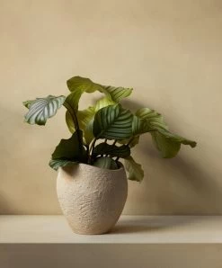 MENU Plantas Planter, 24 Cm, Ivory 10 MENU Plantas Planter, 24 Cm, Ivory -Furniture Deals Store MENU Plantas Planter 7 2023