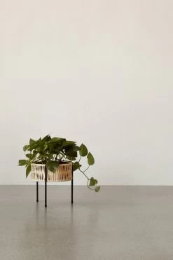 MENU Umanoff Planter, 27 Cm, Black - Rattan -Furniture Deals Store MENU Planters 5